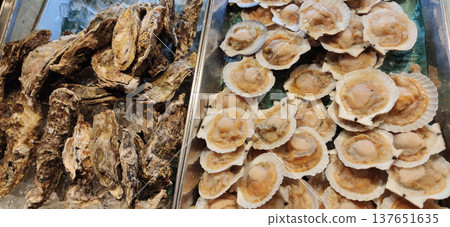 Trays of fresh oysters and scallops displayed for grilling or cooking at a seafood restaurant or market, showcasing delicious ocean delicacies and Japanese seafood cuisine Trays of fresh oysters and scallops displayed for grilling or cooking at a seafood restaurant or market, showcasing delicious ocean delicacies and Japanese seafood cuisine 137651635