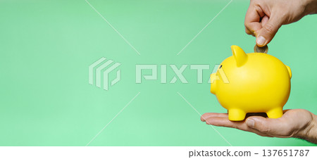 Yellow piggy bank on a bright green background finance concept Yellow piggy bank on a bright green background finance concept 137651787