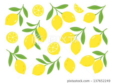 Lemons and slices with green leaves in flat vector style 137652249