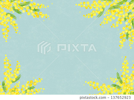 Mimosa watercolor-style background material/frame 137652923