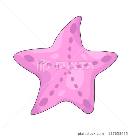 Illustration of starfish  137653455