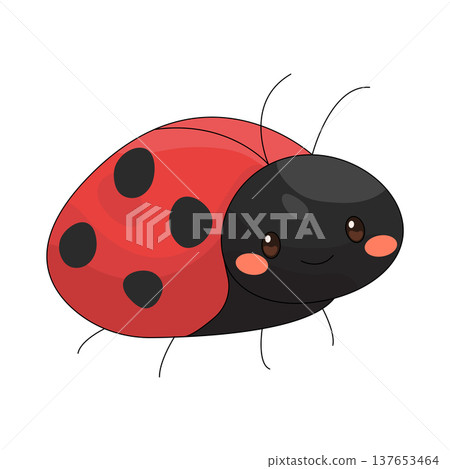 Illustration of ladybug Illustration of ladybug 137653464