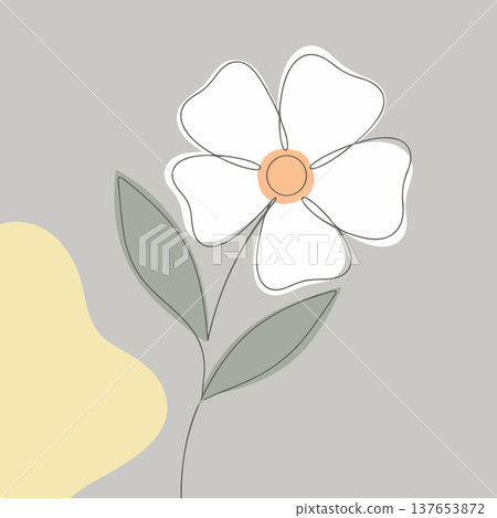 Minimalist White Flower Illustration Minimalist White Flower Illustration 137653872
