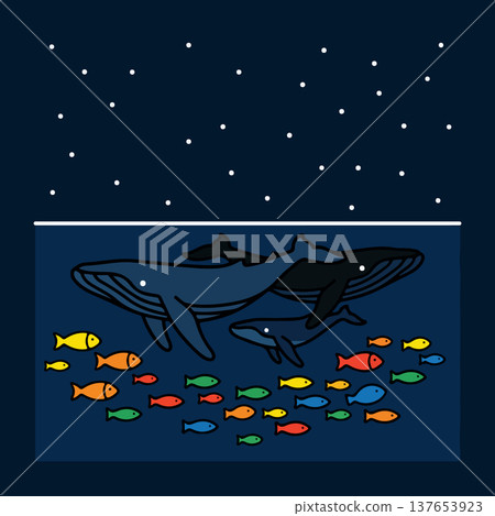 Whales and Fish Under the Stars Whales and Fish Under the Stars 137653923