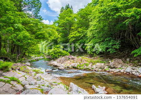 平瀧瀑布，綠樹成蔭的溪邊小路（岐阜縣高山市清見町） 137654091