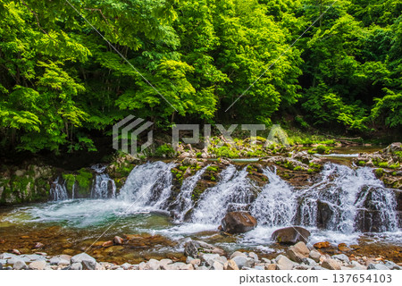 Hirataki Waterfall, a stream-side road in the fresh greenery (Kiyomi-cho, Takayama City, Gifu Prefecture) Hirataki Waterfall, a stream-side road in the fresh greenery (Kiyomi-cho, Takayama City, Gifu Prefecture) 137654103