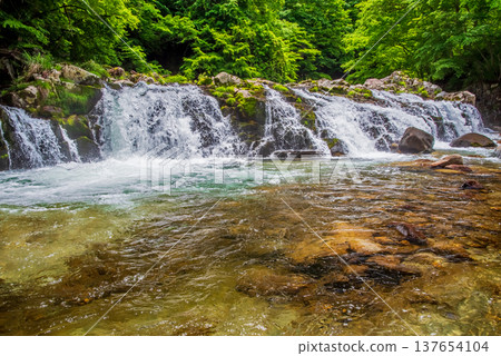 Hirataki Waterfall, a stream-side road in the fresh greenery (Kiyomi-cho, Takayama City, Gifu Prefecture) 137654104