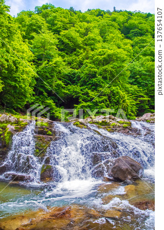 Hirataki Waterfall, a stream-side road in the fresh greenery (Kiyomi-cho, Takayama City, Gifu Prefecture) 137654107