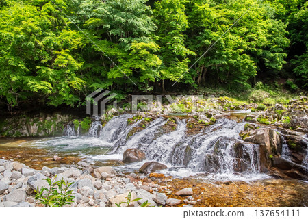 Hirataki Waterfall, a stream-side road in the fresh greenery (Kiyomi-cho, Takayama City, Gifu Prefecture) 137654111