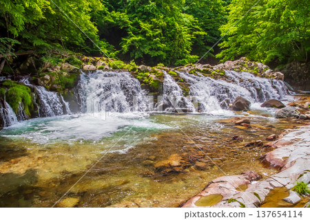 Hirataki Waterfall, a stream-side road in the fresh greenery (Kiyomi-cho, Takayama City, Gifu Prefecture) 137654114
