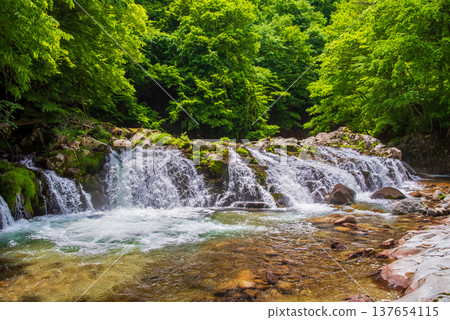 Hirataki Waterfall, a stream-side road in the fresh greenery (Kiyomi-cho, Takayama City, Gifu Prefecture) 137654115