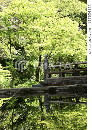 Myohonji Temple, surrounded by fresh greenery. Myohonji Temple, surrounded by fresh greenery. 137654123