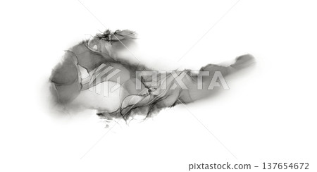 Abstract spot of dynamic passionate black color in liquid acrylic technique, blown with a hair dryer like the texture of a stone.As a symbol of contemporary art.Illustration on transparent background Abstract spot of dynamic passionate black color in liquid acrylic technique, blown with a hair dryer like the texture of a stone.As a symbol of contemporary art.Illustration on transparent background 137654672