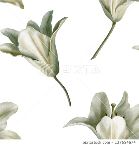 White lilies arranged in seamless pattern,symbolizing purity for first communion,weddings,funeral ceremonies.Watercolor washes,delicate details for religious events,memorials,sacred stationery White lilies arranged in seamless pattern,symbolizing purity for first communion,weddings,funeral ceremonies.Watercolor washes,delicate details for religious events,memorials,sacred stationery 137654674