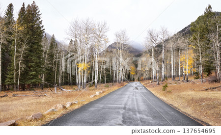 Road in Rocky Mountain National Park, Colorado, USA. Road in Rocky Mountain National Park, Colorado, USA. 137654695