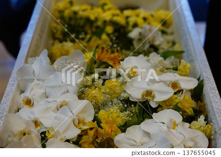 一碗盛開的鮮花 一碗盛開的鮮花 137655045
