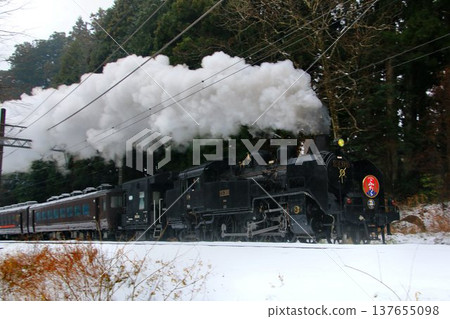 SL Taiju Futara C11325 強勁地駛上日光公路白雪皚皚的斜坡… 137655098