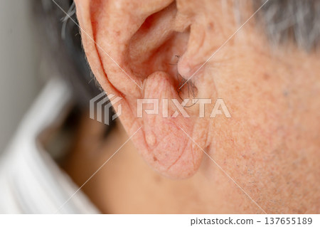 高級男性耳朵 137655189