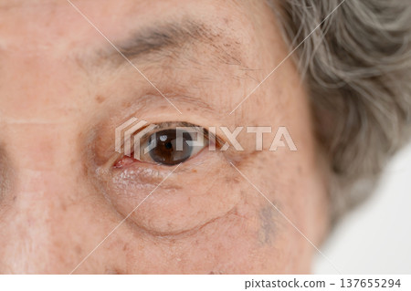 高級女人的眼睛 137655294