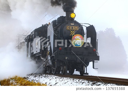 The steam locomotive "SL Taiju" C11325 powerfully runs along the snow-covered Kinugawa Railway... The steam locomotive "SL Taiju" C11325 powerfully runs along the snow-covered Kinugawa Railway... 137655388