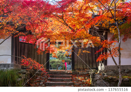 Iconic wooden entrance with maple leaf in autumn at Nisonin, Arashiyama Iconic wooden entrance with maple leaf in autumn at Nisonin, Arashiyama 137655516