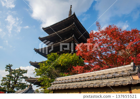 Iconic Yasaka pagoda of Hokanji temple in autumn leaf, Kyoto Iconic Yasaka pagoda of Hokanji temple in autumn leaf, Kyoto 137655521