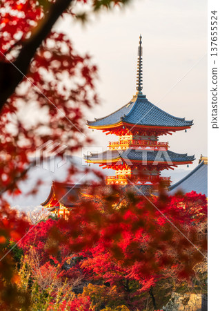 Kiyomizu-dera pagoda with maple autumn leaves in vertical , Kyoto Kiyomizu-dera pagoda with maple autumn leaves in vertical , Kyoto 137655524