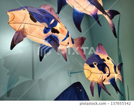 Fish Lanterns light up by green wall Fish Lanterns light up by green wall 137655542