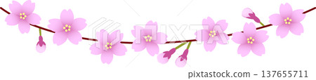 Cherry blossom line, single strand, pink Cherry blossom line, single strand, pink 137655711