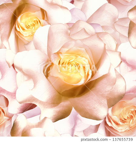 Seamless floral pink background. Flowers peonies and petals peonies. Close up. Seamless floral pink background. Flowers peonies and petals peonies. Close up. 137655739
