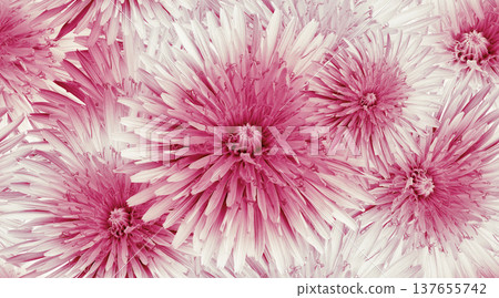 Seamless floral background. Flower dandelion and petals. Close up. Seamless floral background. Flower dandelion and petals. Close up. 137655742