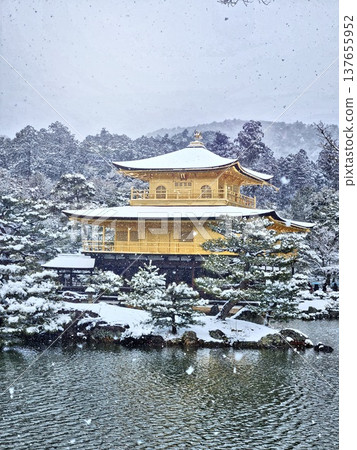 雪中的金閣寺(京都六園寺) 雪中的金閣寺(京都六園寺) 137655952