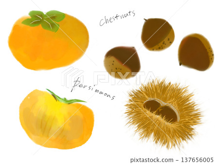 栗子手繪插圖集 栗子手繪插圖集 137656005