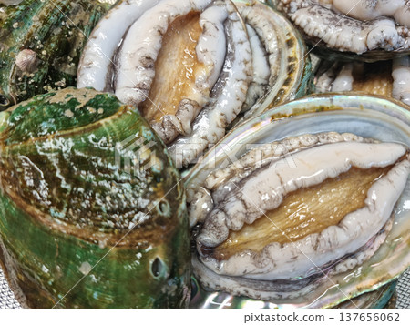 This is a close-up of abalone, one of the seafood. This is a close-up of abalone, one of the seafood. 137656062