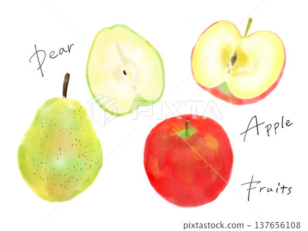 一組手繪的蘋果和梨的插圖。 一組手繪的蘋果和梨的插圖。 137656108