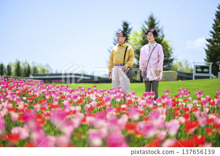 Senior couple sightseeing in a field of tulips in full bloom (enhanced retouching) 137656139