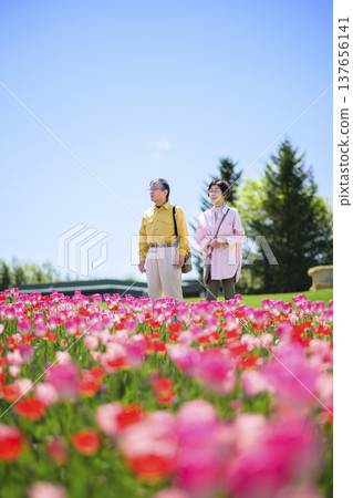 Senior couple sightseeing in a field of tulips in full bloom (enhanced retouching) Senior couple sightseeing in a field of tulips in full bloom (enhanced retouching) 137656141