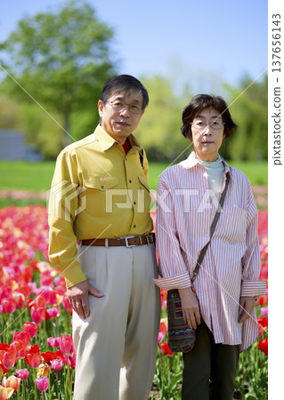Senior couple taking a commemorative photo in a field of blooming tulips (enhanced retouching) 137656143