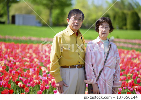 Senior couple taking a commemorative photo in a field of blooming tulips (enhanced retouching) 137656144