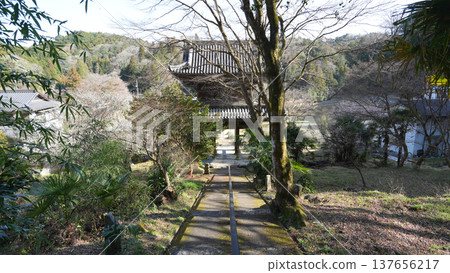 豐田市大鷲神寺 豐田市大鷲神寺 137656217