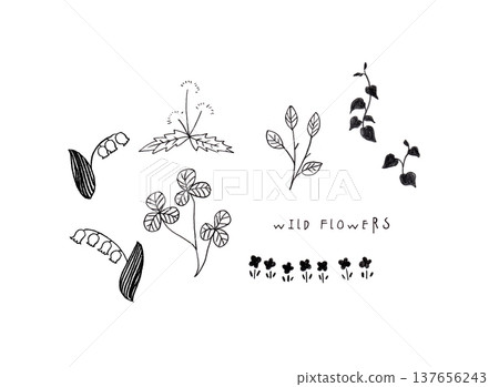 Simple illustration of flowers and leaves Simple illustration of flowers and leaves 137656243