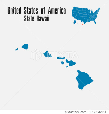 Vector map of the USA - State Hawaii 137656431