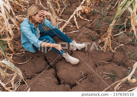 Sad farmer sitting in dry cracked field with damaged corn crop Sad farmer sitting in dry cracked field with damaged corn crop 137656510