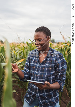 Young female african farmer inspecting corn crops with digital tablet Young female african farmer inspecting corn crops with digital tablet 137656521