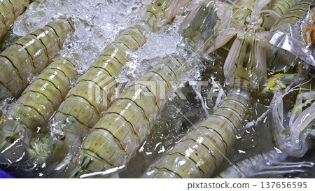 Fresh mantis shrimp at the seafood market. Fresh mantis shrimp at the seafood market. 137656595