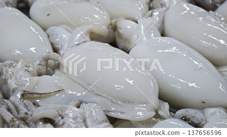Fresh squid at the seafood market. 137656596