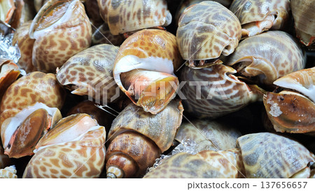 Sweet clams in the seafood market. 137656657