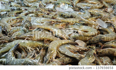 Fresh shrimp in the seafood market. 137656658