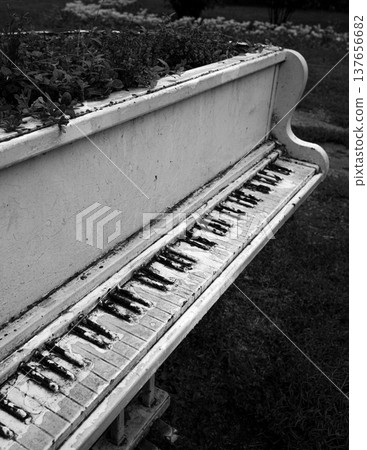 Abandoned Piano Turned into Flower Planter in Urban Park 137656682
