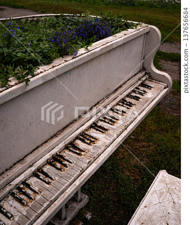 Abandoned Piano Turned into Flower Planter in Urban Park 137656684